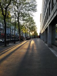 Road amidst trees in city