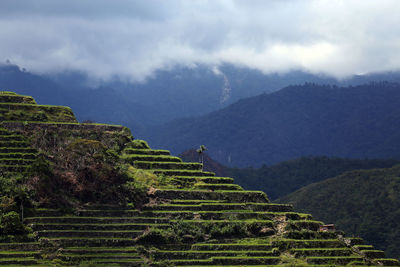 Panoramic view of agricultural landscape against sky