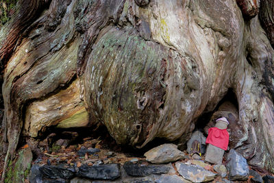 Full length of woman standing on rock in cave