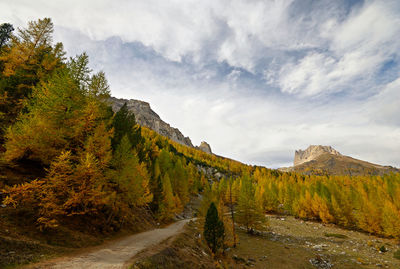 Road amidst trees against sky during autumn