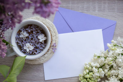 High angle view of potted plant on table