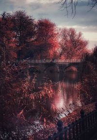 Arch bridge over river against sky during autumn