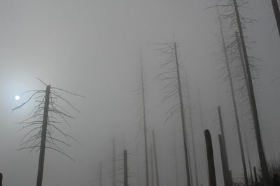 Low angle view of electricity pylon against sky