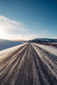 Road to nowhere. wildlife in the finnmark region of northern norway on the border with finland. 