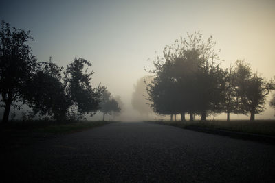 Road amidst trees on field against sky