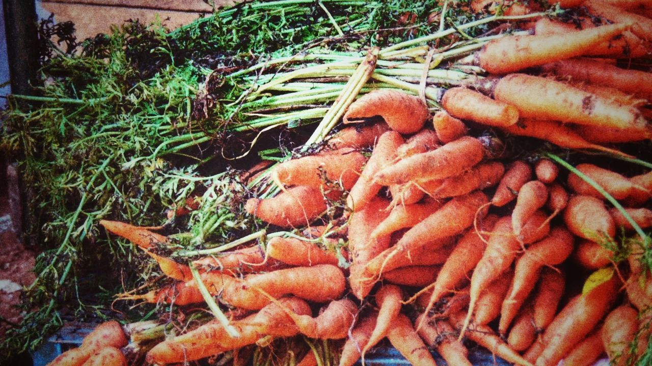 carrot, food and drink, food, root vegetable, vegetable, healthy eating, wellbeing, freshness, day, large group of objects, no people, organic, market, plant, heap, high angle view, orange color, abundance, raw food, for sale, common beet