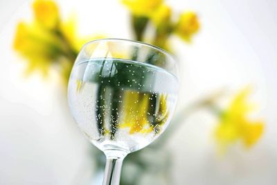 Close-up of drink in glass