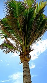 Low angle view of palm tree against sky