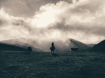 Horses grazing on mountains against cloudy sky