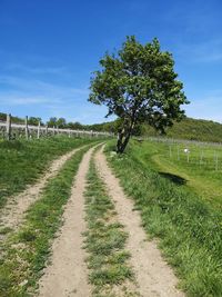 Empty road along plants and trees against sky