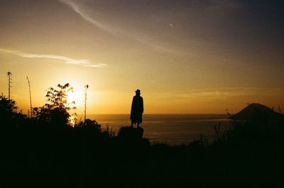 Silhouette man standing by tree against sky during sunset