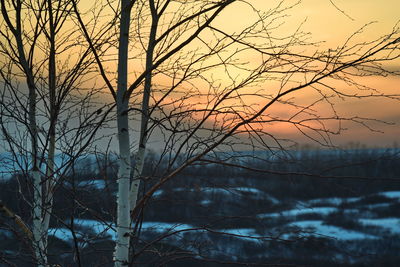 Bare tree against sky during sunset