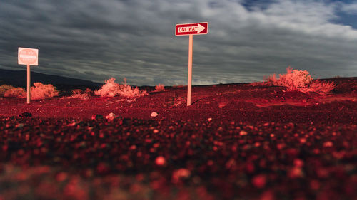 Close-up of road sign against sky