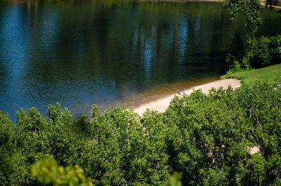 High angle view of trees by lake