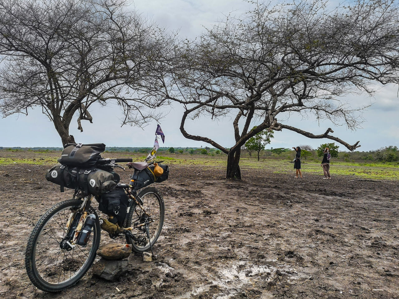 PEOPLE RIDING BICYCLES ON FIELD