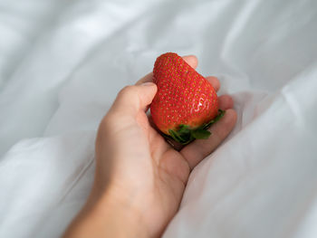 Midsection of person holding strawberry