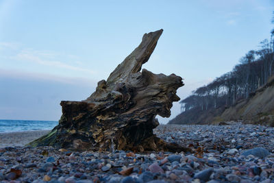 Driftwood on rock by sea against sky