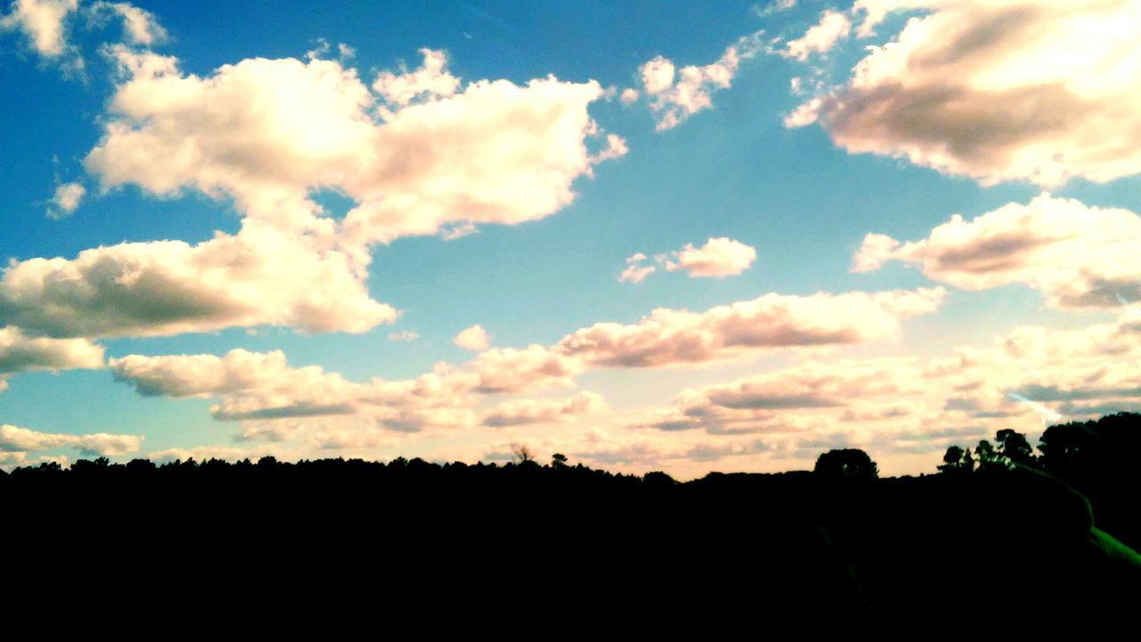 silhouette, sky, cloud - sky, tranquil scene, tranquility, beauty in nature, scenics, sunset, tree, cloud, nature, landscape, blue, low angle view, idyllic, cloudy, outline, outdoors, no people, dark