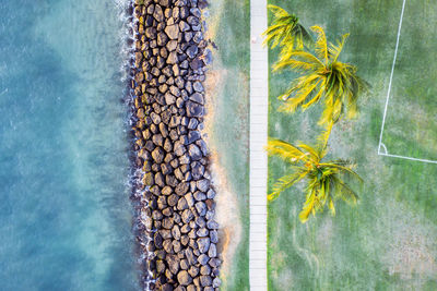 Directly above view of palm trees by sea