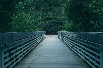 Footbridge leading towards forest