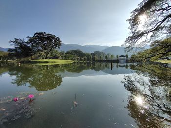 Reflection of trees in lake against sky