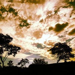 Low angle view of silhouette trees against sky during sunset