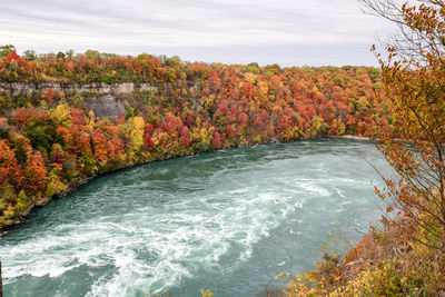 Scenic view of river amidst trees against sky during autumn