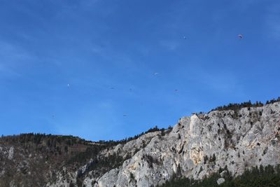 Low angle view of birds flying against blue sky