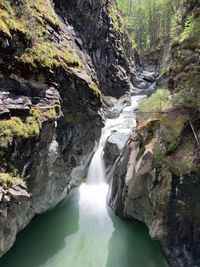 Scenic view of waterfall in forest