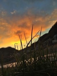 Scenic view of landscape against sky at sunset