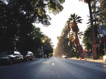 Road passing through trees