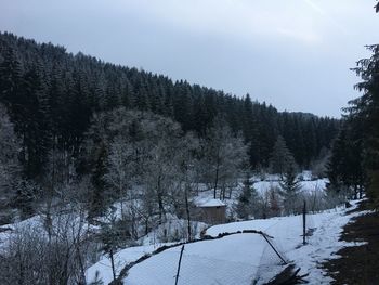 Snow covered land and trees against sky