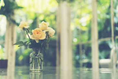 Close-up of flowering plant in glass vase on table