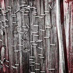 Close-up of wooden door