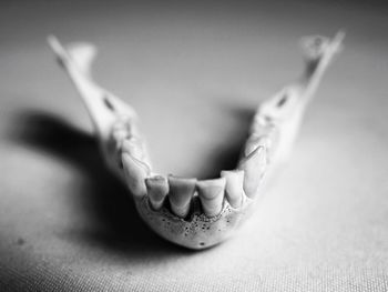 Close-up of a young woman lying on table