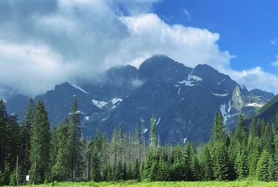 The road to morskie oko lake in the polish tatras.