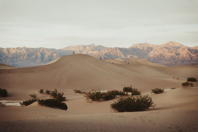 Mesquite flats sand dunes