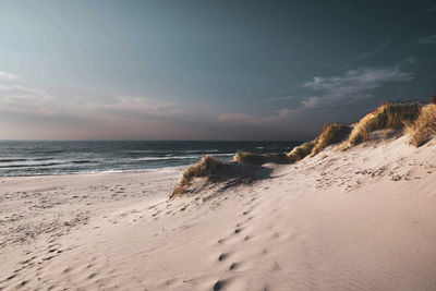 Scenic view of beach against sky during sunset