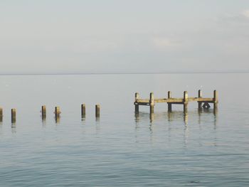 Birds perching on wooden posts in sea against sky