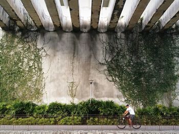 Man with bicycle against trees