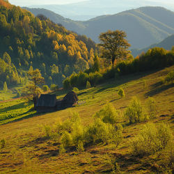 Scenic view of field against trees and mountain