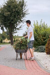 Side view of young man with plants in wheelbarrow standing on footpath