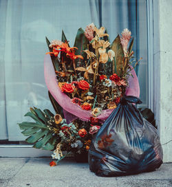 Close-up of potted plant