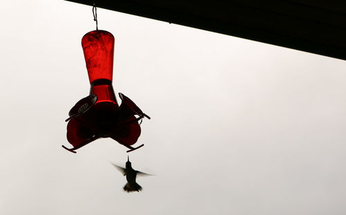 Low angle view of butterfly