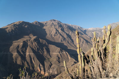 Scenic view of mountains against clear blue sky