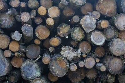 Full frame shot of logs