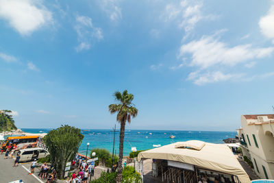 Palm trees on beach against sky