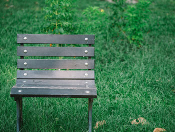 Empty bench in park