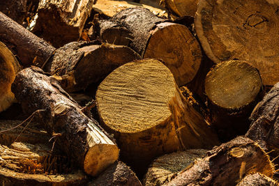 wood