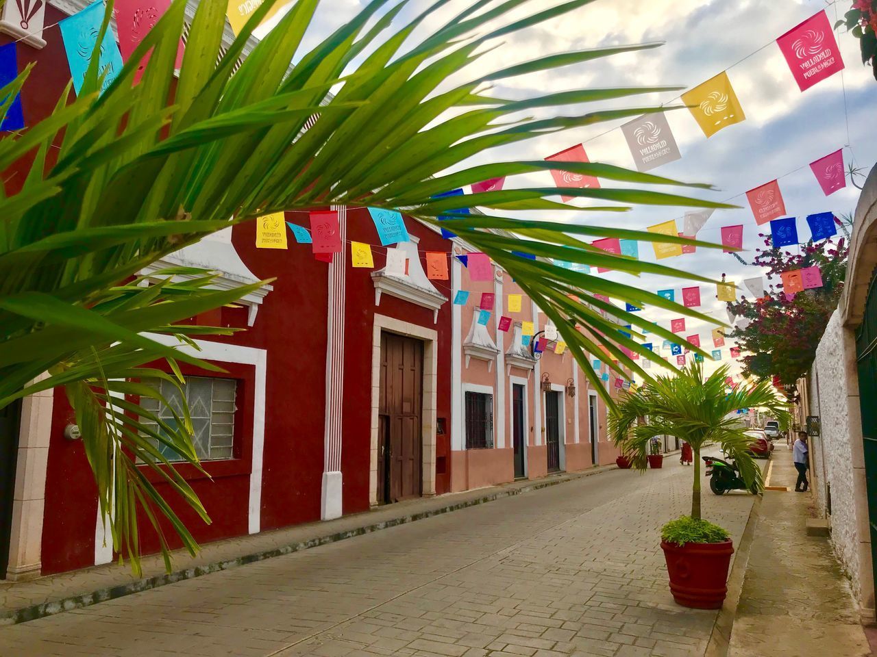 VIEW OF PALM TREES AND BUILDING